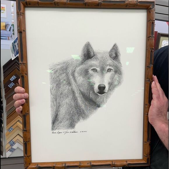 Canis Lupus “Wolf” Prints - Picture 3 of 4